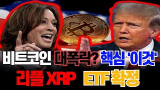 비트코인 마지막 사이클의 진실, 리플 XRP 기관들의 충격적인 행보