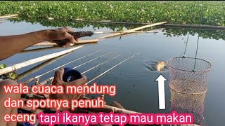 walaw cuaca mendung//tapi ikanya tetap mau makan!!mancing hari ini