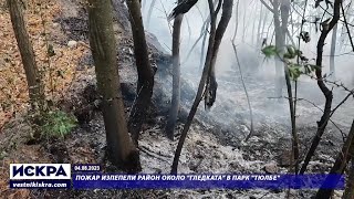 04.08.2023 - Пожар изпепели район около "Гледката" в парк "Тюлбе"