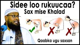 Sidee loo rukuucaa qaabka ugu saxsan sheekh maxamuud xaliike