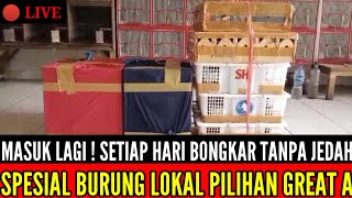 🔴 TERBARU HARI INI ! SPESIAL AKHIR BULAN STOK MELIMPAH HARGA KITA PROMOKAN 0838-7553-6945