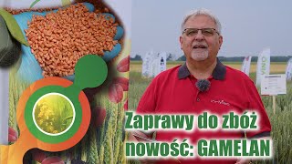 🎯Gamelan 100 FS | Nowa zaprawa do zbóż | Działanie układowe i powierzchniowe protiokonazolu