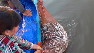 Đẩy Te Bắt Cá! Tuyệt Chiêu Bắt Cá Xác, Cá Dứa Trên Sông Lớn - Đời Sống Dân Dã