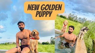 New puppy Aa gya,daily vlog start.￼