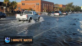 Flooding on a Sunny Day? Here’s How. (1-Minute Watch)