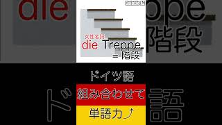 思いつきが遅すぎたウィット!? ドイツ語の面白単語Treppenwitz！#shorts