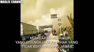 KABUT ASAP TERPARAH DI RIAU 13 SEPTEMBER 2019