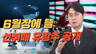 한올바이오파마, 알테오젠, 레고켐바이오, 에스피지 등 I 제약바이오, 로봇, OELD, XR  등 6월장 유망섹터와 내일장 관심주 공개 I 유튜브 공개 종목 리뷰