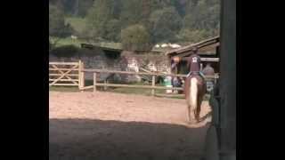 equitation Julie 2014 0001