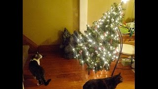 Animals Are Mean Sometimes - Christmas Special