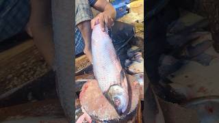 Amazing Rohu Fish Cutting Skills In Bangladesh Fish Market By Expert Cutter #shorts