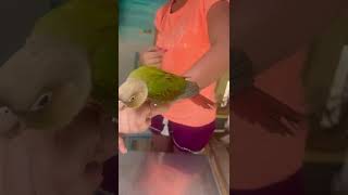 Arika playing with Parrot in Maldives