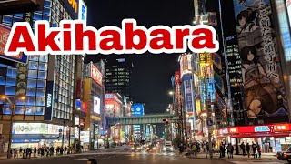 Japan day 9 - Searching for Treasure in Japan's Electronic Town,  Akihabara