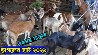 qurbani eid 2021: Gabtoli Cow Market goat price in bangladesh ! gorur haat 2021