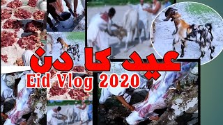 Eid Day Vlog 2020 In Village | Qurbani  vloge in Village | Everything best