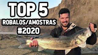 TOP 5 Robalos & Amostras - Spinning - Pesca Portugal