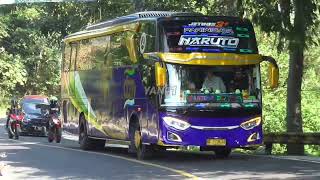 ARTIS BUS TELOLET NADA PALING UNIK