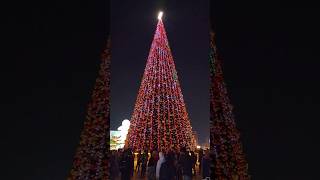 The biggest Chrismas Tree in Dubai #shorts #dubai #dubailife #chrismastree #alseefdubai #noel