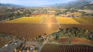 Vineyards in the Fall