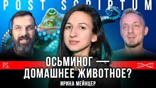 Осьминога можно держать дома? Ирина Мейнцер. #Постскриптум