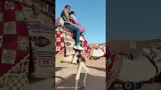 Wait for the end😂🏃‍♀️🐪Camel ride in Saudi😂#shortsfeed #tamil #youtubeshorts #ytshorts #camel #comedy