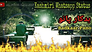 New Kashmiri Whatsapp Status | Sad Kashmiri Whatsapp Status | Kashmiri Status | Al Noor Gallery |