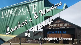 Branson Missouri Restaurants | Side Trip | Lambert’s Café | Wonders of Wildlife | Springfield MO