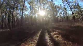 Palmetto Trail More Like Palmetto Stream