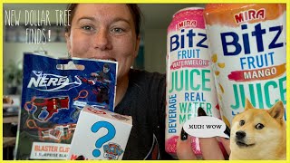 DOLLAR TREE HAUL: MAY 3, 2021