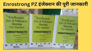 injection ENROSTRONG -PZ || Injection ENROSTRONG -pz use in animals ||