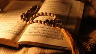 Holy Quran   سورة النساء هاني الرفاعي