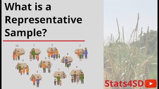 What is a Representative Sample?