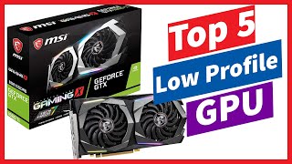 Top 5 Best Low Profile GPU to Buy in 2022