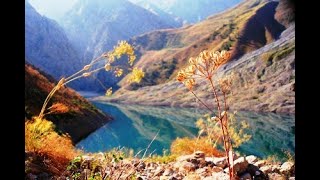 Красота гор Узбекистана | Тянь-Шань ✔ Часть 2🚌 | The beauty of the mountains of Uzbekistan | Part 2🔔