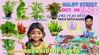 AQUATIC | AQUARIUM PLANTS | DRIFTWOOD | GALIFF STREET, KOLKATA | PRE-PUJO PRICE & NAME | 08OCT2023