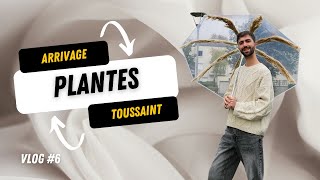 Vlog de la semaine : Arrivage de plantes pour la Toussaint 🌿 et un Parapluie Fleuri Unique 🌸