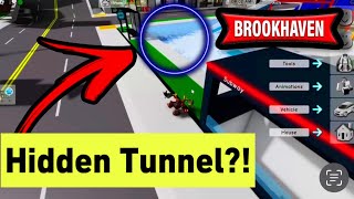 Hidden Tunnel in Brookehaven Pool! | ROBLOX