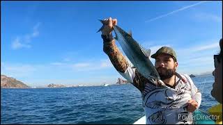 pesca de bicudas y bonitas con jig