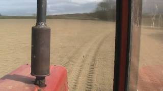 INTERNATIONAL HARVESTER Drilling Barley