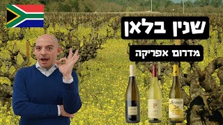 שנין בלאן מדרום אפריקה