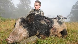 MISTY MOUNTAIN BOAR // JE HUNTS // S2:E2