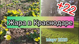 Жара в Краснодаре +22 март 2020 Переезд в Краснодар