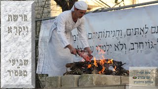 קריאת התורה | פרשת ויקרא | שביעי (מפטיר)