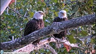 USS Bald Eagle Cam 1 & 2 on 10-12-24 @ 06:44 Morning Conversations, many snites and stick delivery