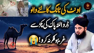 ounth ki tang, Oont Camel ki tang katne walo Allah se daro Peer Ajmal Raza Qadri new bayan 2024