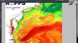 Northeastern U.S. Ocean Conditions Update - 8/1/2022