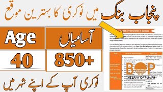 Latest Punjab Bank Jobs 2024 | How to Apply for Bank of Punjab (BOP) Jobs-All Bank Jobs in Pakistan