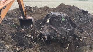 Case 580 backhoe digging huge stump