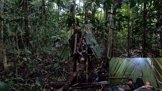 CAMPING TENGAH HUTAN TUA KALIMANTAN | NYENYAK BANGET TIDUR DISHELTER INI