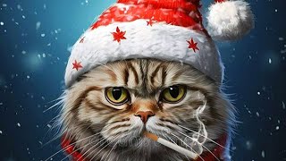 🎅😸MEOWY CHRISTMAS! From Gangsta Cat😸🎅